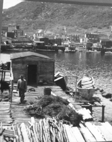 009: Harbour scene. Francis Kerrivan in foreground. [courtesy of Jennie (Kerrivan) Harvie] - son of Joseph Kerrivan &amp;amp; Eliz Judge.